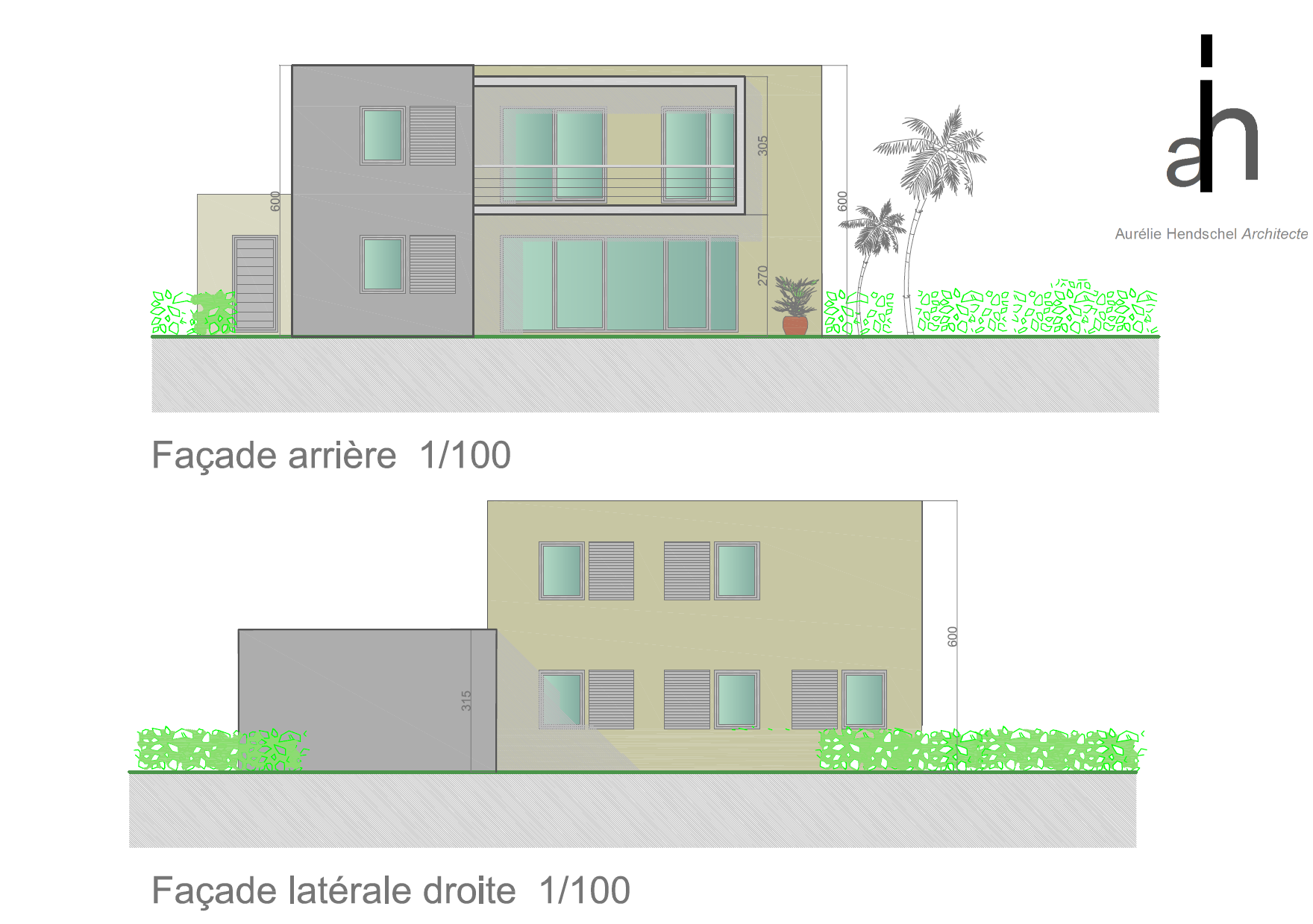 Flore 3